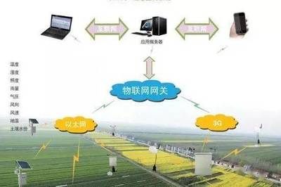 中國農(nóng)業(yè)十大新戰(zhàn)略與計算機信息系統(tǒng)集成的融合路徑